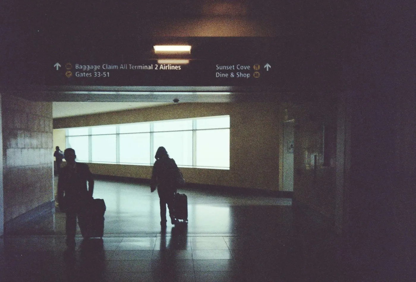 Japan on Film 2025 — photo 16